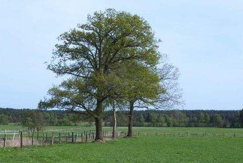 Jesteburg Grundstücke, Jesteburg Grundstück kaufen
