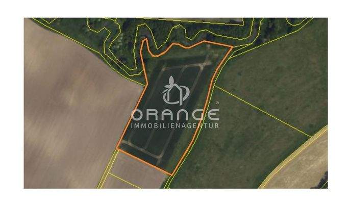 Luftbild + Parzellenkarte