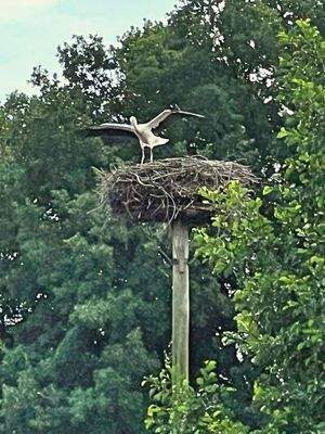 hier wohnt das Glück