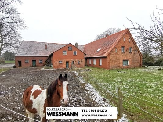 Hofstelle in Freren