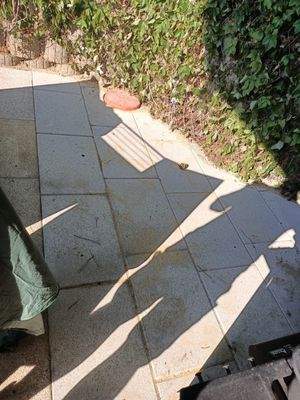 Terrasse gepflastert