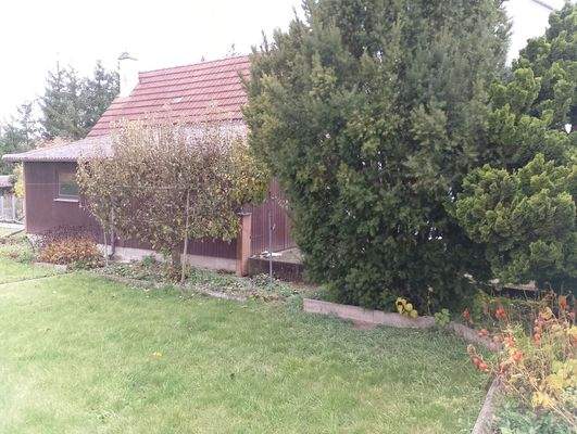 Garage Garten IMG_20251103_141427.jpg