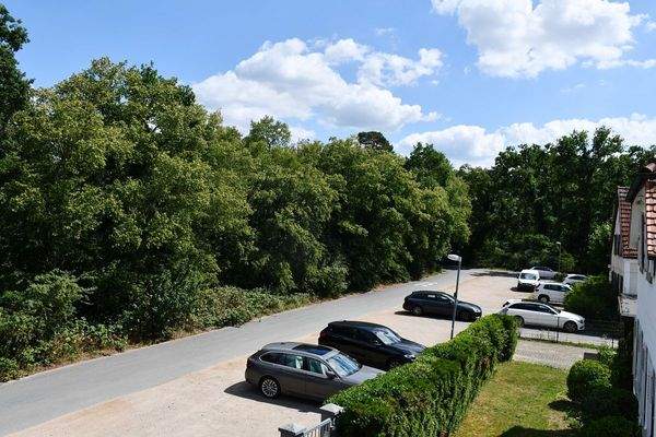 38 Wald nahe Wohnlage.JPG