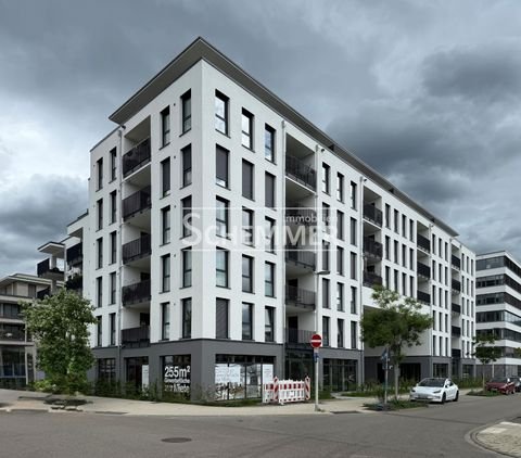 Freiburg im Breisgau Büros, Büroräume, Büroflächen 