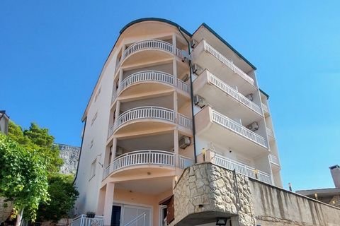 Omis Ladenlokale, Ladenflächen 