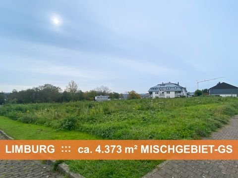 Limburg an der Lahn Industrieflächen, Lagerflächen, Produktionshalle, Serviceflächen