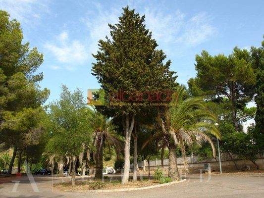 Baugrundstück zu verkaufen im Paradis von Bonaire in Alcúdia, Mallorca