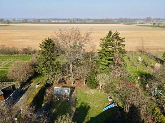 Ausblick auf den Rhein