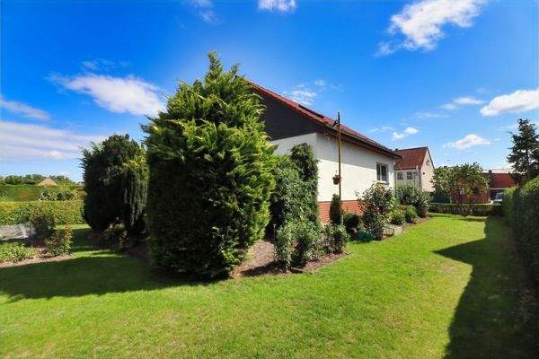 Blick aus dem Garten zum Haus