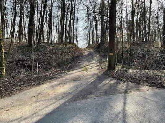 Zufahrt durch den Wald