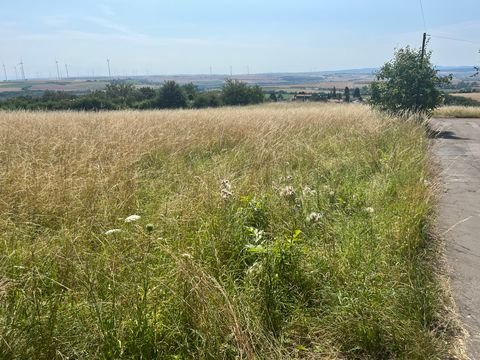 Kirchheimbolanden Grundstücke, Kirchheimbolanden Grundstück kaufen