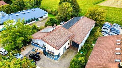 Moosinning Halle, Moosinning Hallenfläche