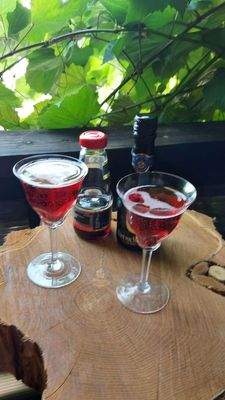 Außenbalkon vom Kaminzimmer