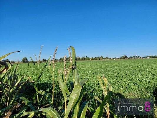 Idyllischer Blick nach Grillheim