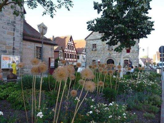 Wohnumfeld Markplatz.jpg
