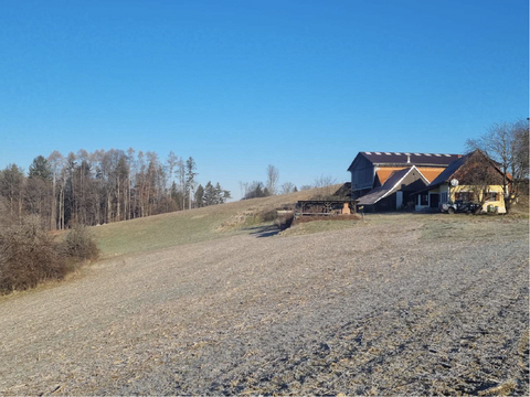 Kirchbach in Steiermark Bauernhöfe, Landwirtschaft, Kirchbach in Steiermark Forstwirtschaft