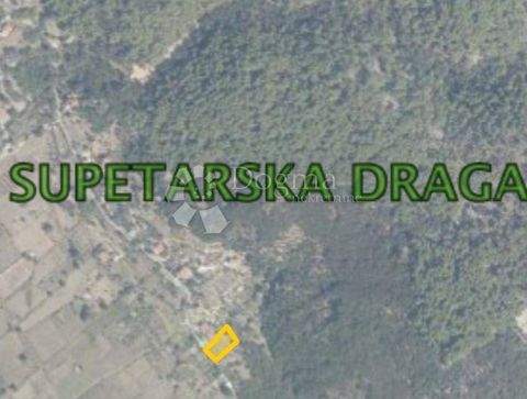 Rab Bauernhöfe, Landwirtschaft, Rab Forstwirtschaft