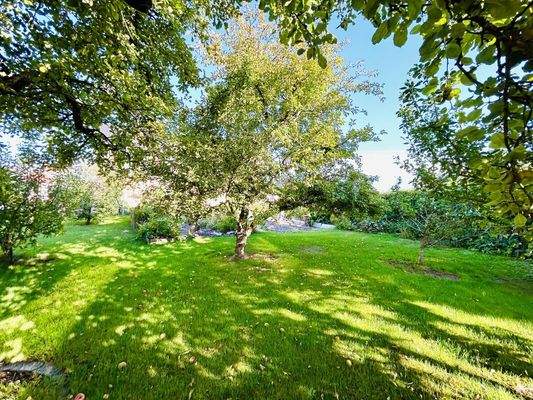 Ihr Obstgarten von Süd-Osten