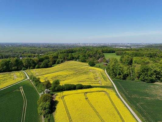 Weitsicht in die grüne Umgebung