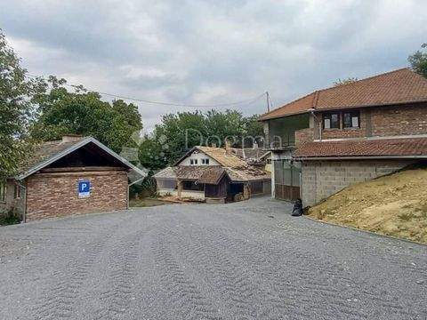 Draz Ladenlokale, Ladenflächen 