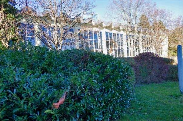 Ans Grundstück angrenzende Schwimmhalle