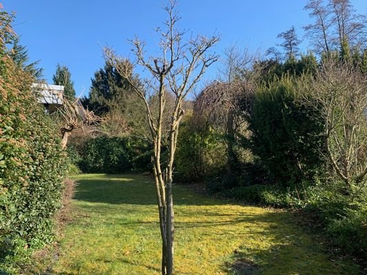 Ansicht Garten