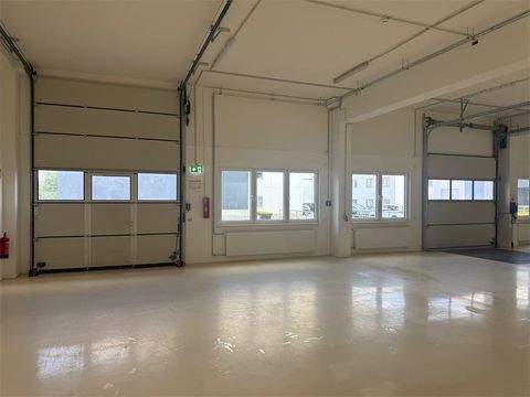 Berlin Halle, Berlin Hallenfläche