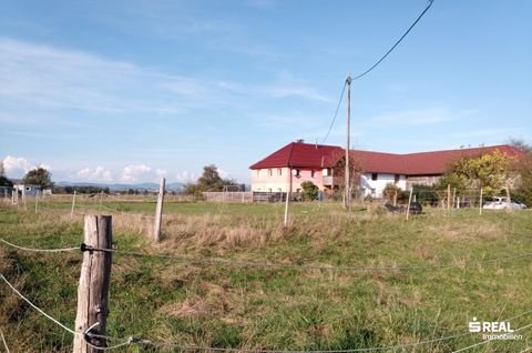 Mitterkirchen im Machland Bauernhöfe, Landwirtschaft, Mitterkirchen im Machland Forstwirtschaft