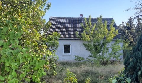 Alt Tucheband Häuser, Alt Tucheband Haus kaufen