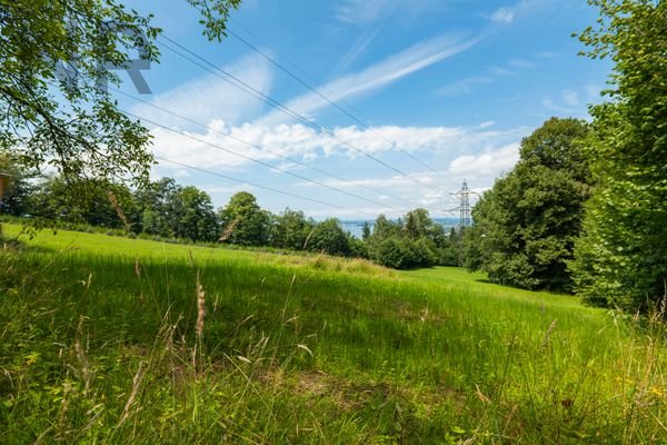 Grundstück Pfänderhang