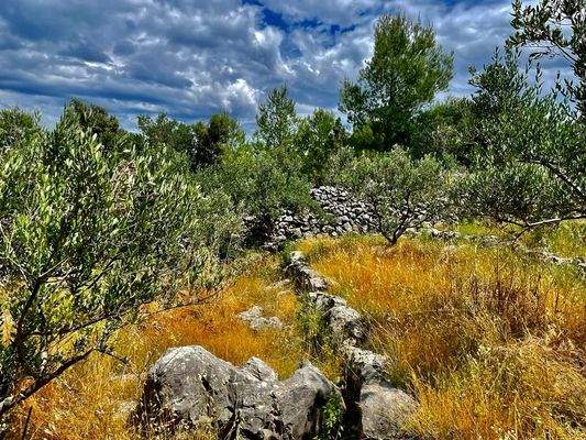 Umgebung mit Meerblick 