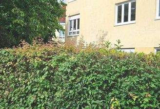 Schlafen. Wohnküche. Ruhiger Innenhof