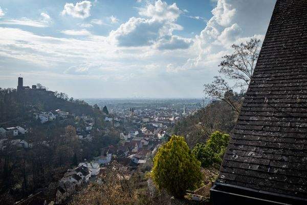 Panoramablick auf die Strahlenburg.jpg