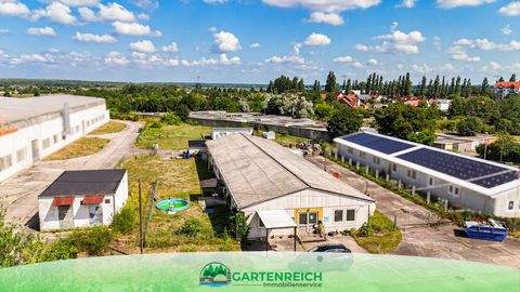 Gräfenhainichen Halle, Gräfenhainichen Hallenfläche