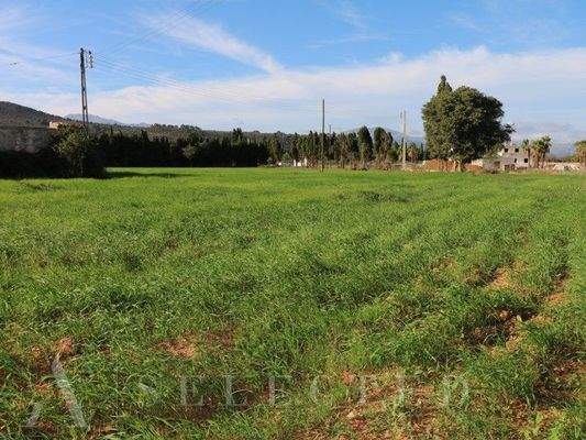 New brand Villa in construction between Inca and Llubi_06