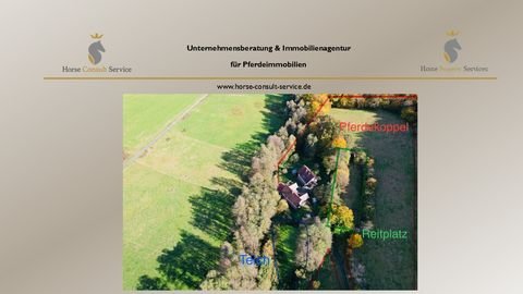 Mengerskirchen Bauernhöfe, Landwirtschaft, Mengerskirchen Forstwirtschaft