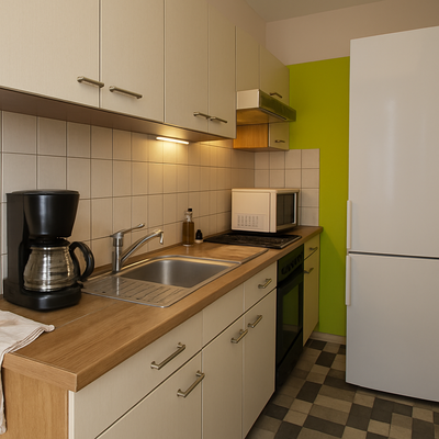 Küche (zum Schutz der Privatsphäre - visualisiert)