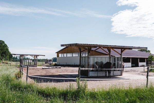 Aktivstall Futterraufen