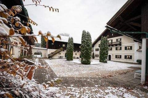 Auerbach Bauernhöfe, Landwirtschaft, Auerbach Forstwirtschaft