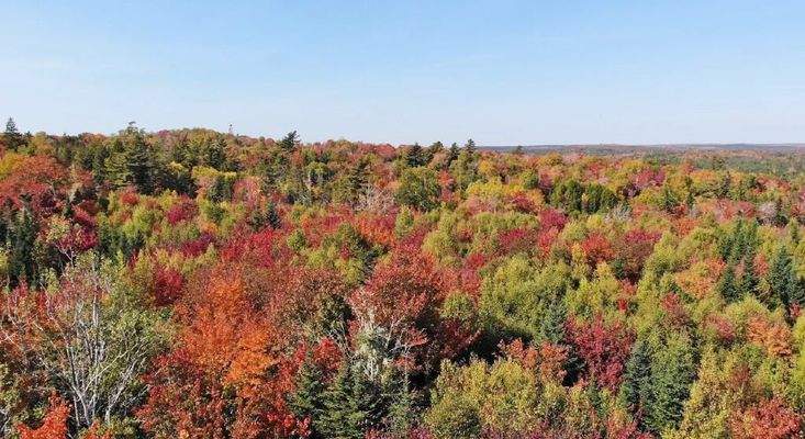 Nova Scotia - West Side Country Harbour - 52-Hekta