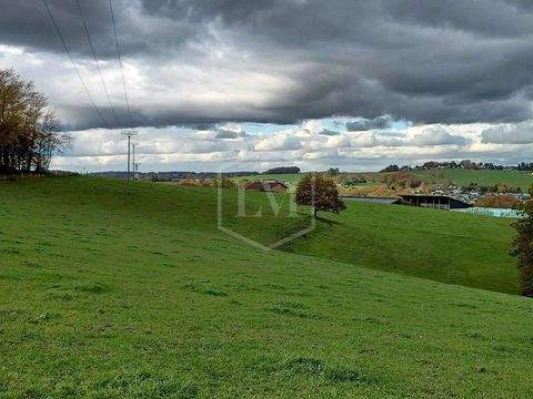 Neunkirchen-Seelscheid Bauernhöfe, Landwirtschaft, Neunkirchen-Seelscheid Forstwirtschaft
