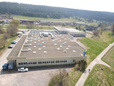 Sankt Georgen im Schwarzwald Halle, Sankt Georgen im Schwarzwald Hallenfläche