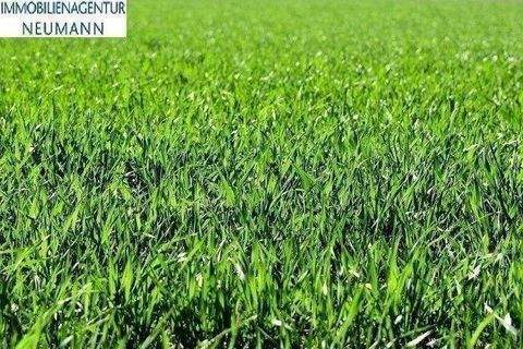 Manching Grundstücke, Manching Grundstück kaufen