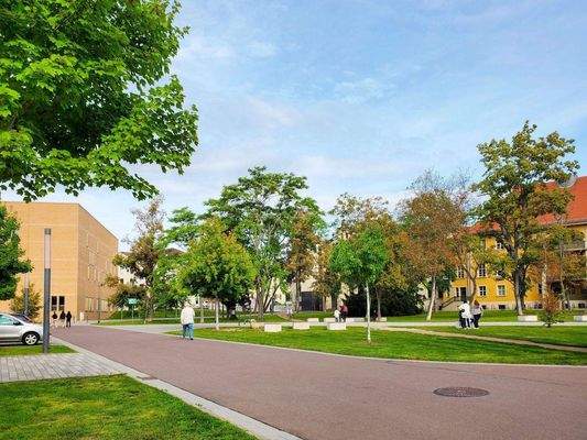 Umgebung Steintor-Campus.jpg