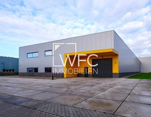 Neufahrn Halle, Neufahrn Hallenfläche