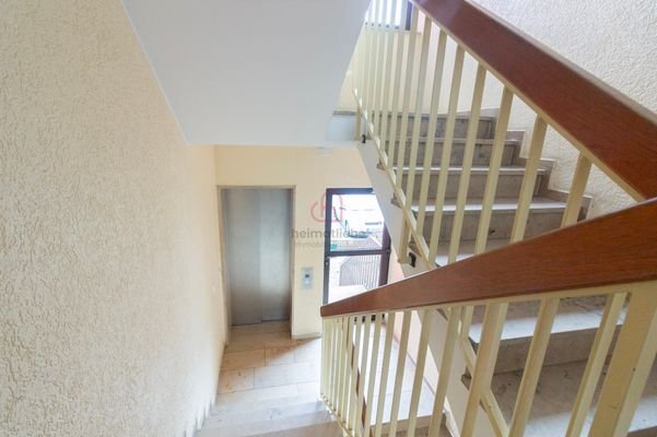 gepflegtes Treppenhaus mit Aufzug