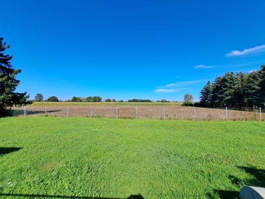 Wiese für Tierhaltung/Pferde möglich