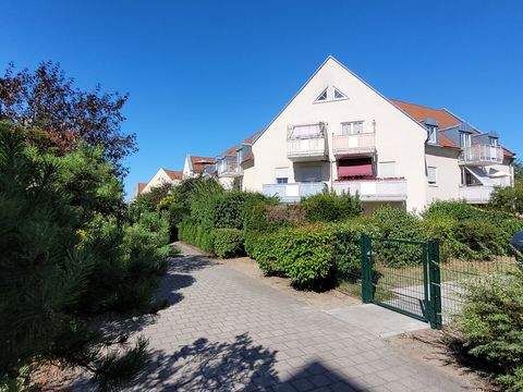 Coswig Wohnungen, Coswig Wohnung kaufen