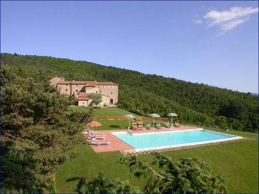 Dall'albero alto (2).png