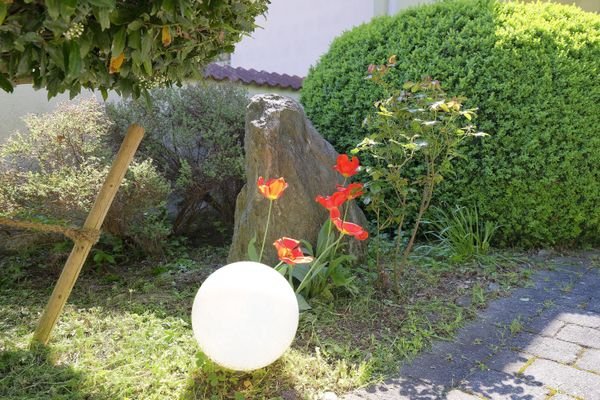 Detail Garten